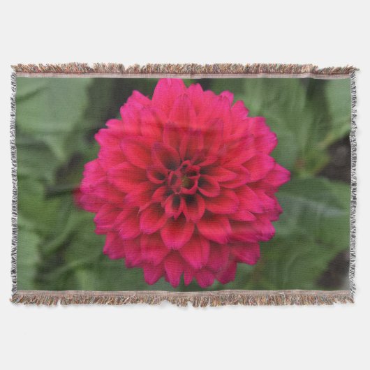 Couverture rouge de jet de dahlia (Devant)