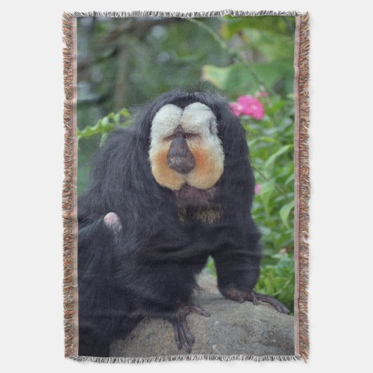 Couverture Saki Monkey (devant Vertical)