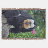 Couverture Saki Monkey (Devant)