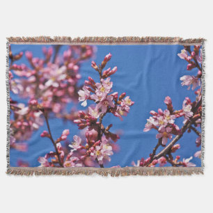 Couverture Sakura Cerry Blossoms Touché Bleu