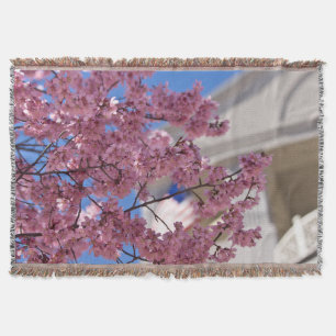 Couverture Sakura Cherry Blossoms