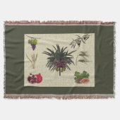 Couverture Sept espèces (Devant)