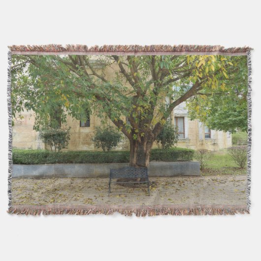 Couverture Série Li Garden : Échos sous l'arbre (Devant)
