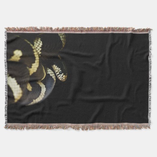Couverture Serpent royal de Californie (Devant)