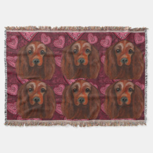 Couverture Setter rouge irlandais
