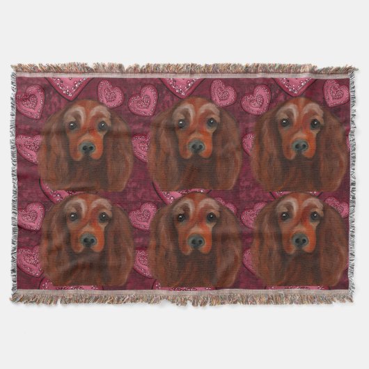 Couverture Setter rouge irlandais (Devant)