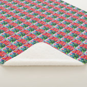 Couverture Sherpa (3/4)