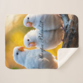 Couverture Sherpa (Devant (Horizontal))