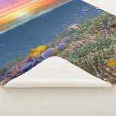 Couverture Sherpa (3/4)