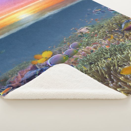Couverture Sherpa (3/4)