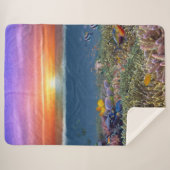 Couverture Sherpa (Devant (Horizontal))