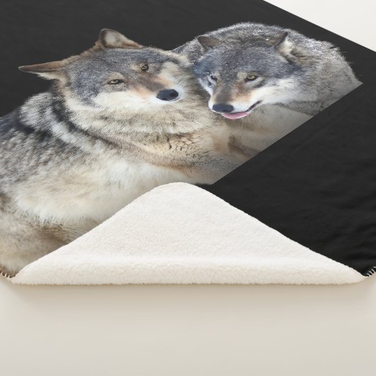 Couverture Sherpa (3/4)