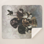 Couverture Sherpa 4 Couleurs de pointeur germanophones (Devant (Horizontal))