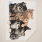 COUVERTURE SHERPA 5 PETITES CUISINES (Devant)