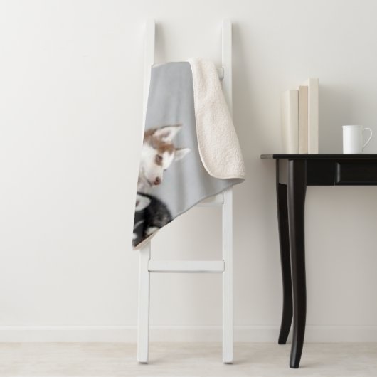 COUVERTURE SHERPA 6 CHIOTS ENROUÉS (En situation)