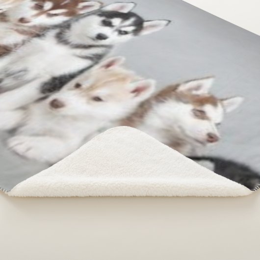 COUVERTURE SHERPA 6 CHIOTS ENROUÉS (3/4)