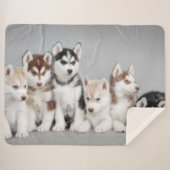 COUVERTURE SHERPA 6 CHIOTS ENROUÉS (Devant (Horizontal))