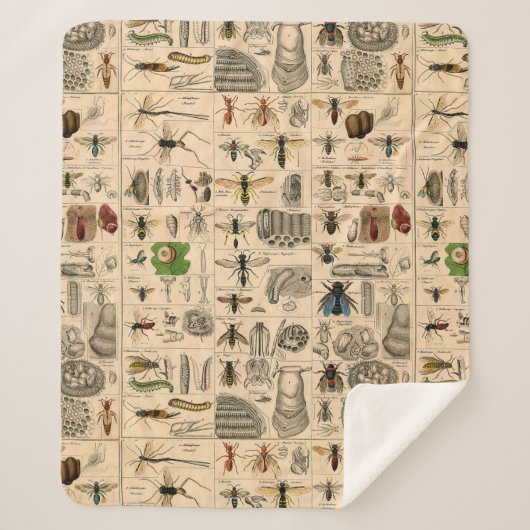 Couverture Sherpa Abeille Insecte Bug Wasp Histoire naturelle abeill (Devant)