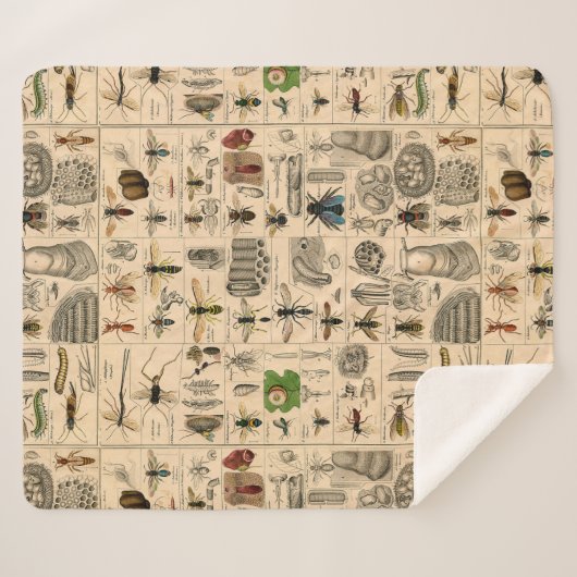 Couverture Sherpa Abeille Insecte Bug Wasp Histoire naturelle abeill (Devant (Horizontal))