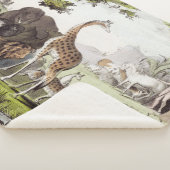 Couverture Sherpa Adam nomme les créatures (3/4)
