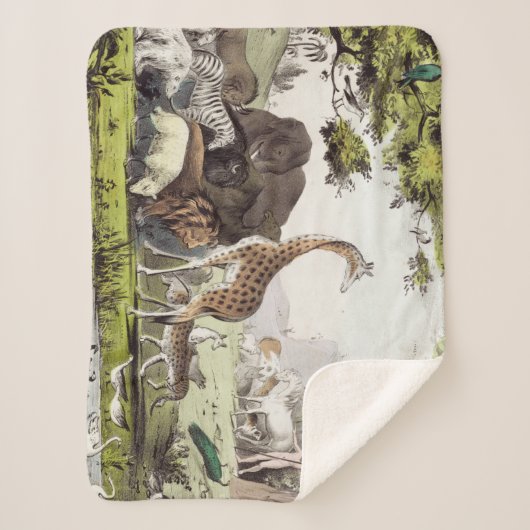 Couverture Sherpa Adam nomme les créatures (Devant)