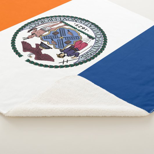 Couverture Sherpa Afficher vos couleurs - New York (3/4)