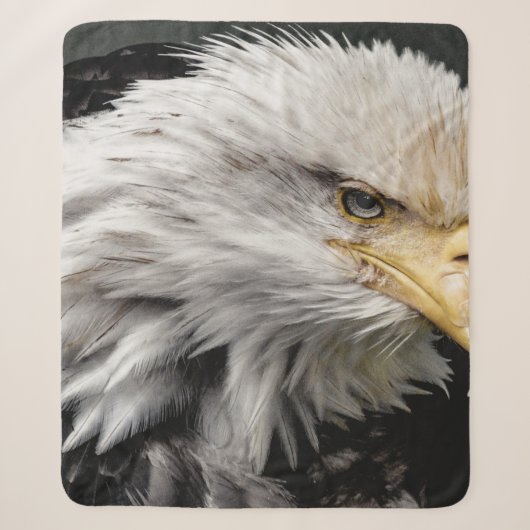 COUVERTURE SHERPA AIGLE (Devant)