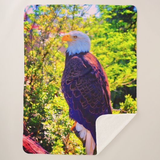 Couverture Sherpa Aigle (Devant)