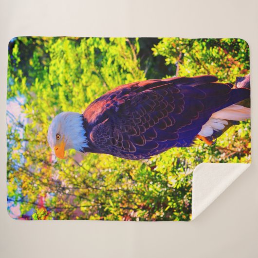 Couverture Sherpa Aigle (Devant (Horizontal))