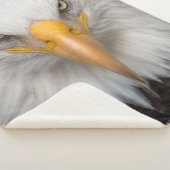 Couverture Sherpa Aigle de Bald (3/4)