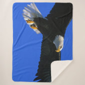 COUVERTURE SHERPA AIGLE EN TRAIN (Devant)