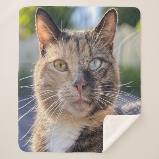 Couverture Sherpa Ajouter une Personnaliser photo de chat (Devant)