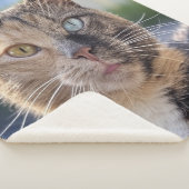 Couverture Sherpa Ajouter une Personnaliser photo de chat (3/4)
