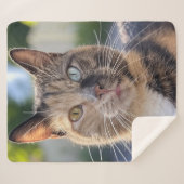 Couverture Sherpa Ajouter une Personnaliser photo de chat (Devant (Horizontal))