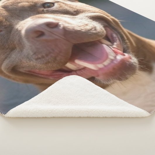 Couverture Sherpa Ajouter une Personnaliser photo Pit Bull (3/4)