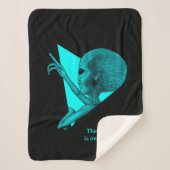 Couverture Sherpa Alien gris, la vérité est là (Devant)