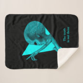 Couverture Sherpa Alien gris, la vérité est là (Devant (Horizontal))