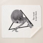 Couverture Sherpa Alien gris, la vérité est là (Devant (Horizontal))