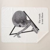 Couverture Sherpa Alien gris, la vérité est là (Devant (Horizontal))