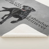 Couverture Sherpa All Gas No Brakes Black Lab (3/4)