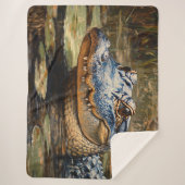Couverture Sherpa Alligator dans les Everglades Wildlife Art (Devant)