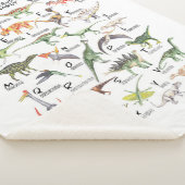 Couverture Sherpa Alphabet Dinosaure (3/4)