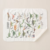 Couverture Sherpa Alphabet Dinosaure (Devant (Horizontal))