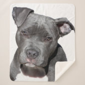Couverture Sherpa American Pit Bull Terrier (Devant)