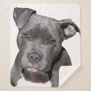 Couverture Sherpa American Pit Bull Terrier