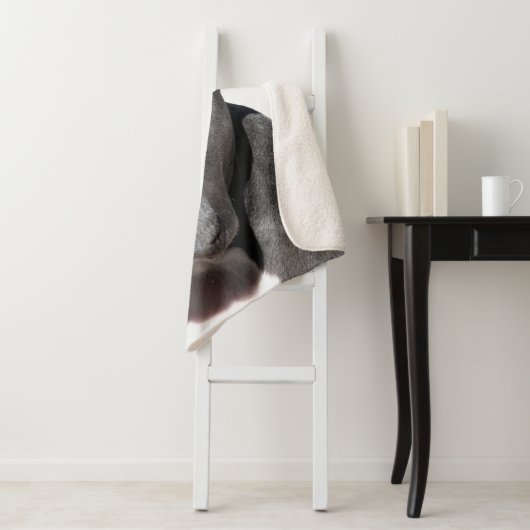 Couverture Sherpa American Pit Bull Terrier (En situation)