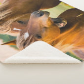 Couverture Sherpa Amour inconditionnel (3/4)