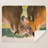 Couverture Sherpa Amour inconditionnel (Devant (Horizontal))