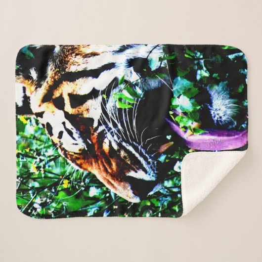 Couverture Sherpa Amur Tiger sbm (Devant (Horizontal))