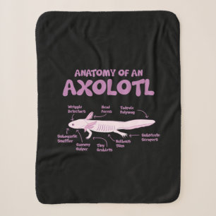 Couverture Sherpa anatomie d'un axolotl axolotls biologie science .